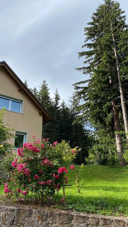 Apartmaji Velikonja Ajdovščina Zewnętrze zdjęcie